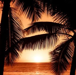 Meet your Posher, Jane